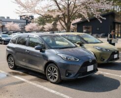 シエンタ ダークグレーの汚れを検証！黒より圧倒的に楽な理由